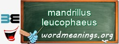 WordMeaning blackboard for mandrillus leucophaeus